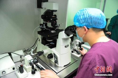 基因編輯的倫理邊界與科學(xué)責(zé)任 從賀建奎事件看人體干細(xì)胞技術(shù)的焦點(diǎn)與未來(lái)