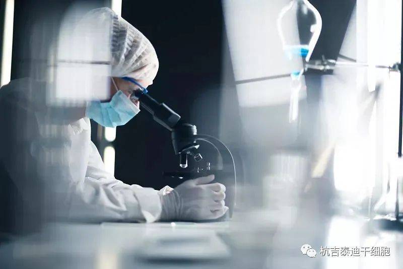 干細(xì)胞技術(shù)治療漸凍癥的潛在挑戰(zhàn) 不良反應(yīng)、費(fèi)用與未來(lái)展望